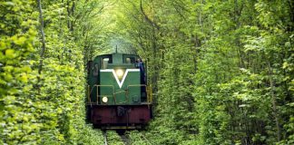 El transporte ferroviario: un método de transporte respetuoso del medio ambiente