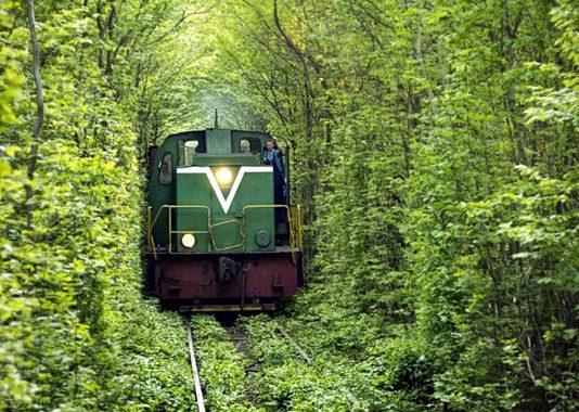 El transporte ferroviario: un método de transporte respetuoso del medio ambiente