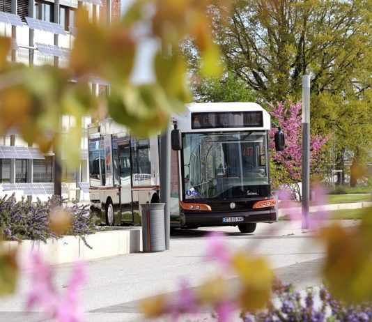 Businova, el innovador concepto de la empresa SAFRA