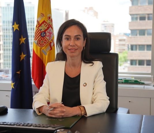 El papel del ferrocarril en el marco de la sostenibilidad