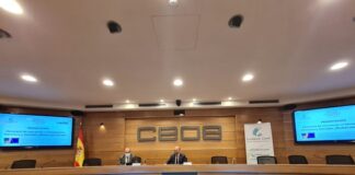 El éxito de la industria del ferrocarril de mercancías en España pasa por su integración vertical