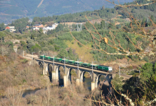 Autorizan la adquisición y mantenimiento de 12 locomotoras para la red convencioanl y 3 para ancho métrico