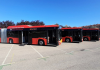 TORREVIEJA, ELCHE, BURGOS Y MARTORELL APUESTAN POR LOS AUTOBUSES SOSTENIBLES DE SOLARIS