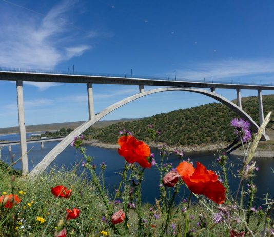 Adif AV cierra una emisión de 500 M€ en ‘bonos verdes’ para seguir financiando proyectos sostenibles