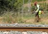El Gobierno autoriza invertir 119 millones de euros en el control de la vegetación en líneas ferroviarias de ancho métrico y convencionales