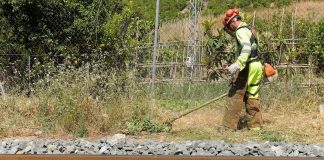 El Gobierno autoriza invertir 119 millones de euros en el control de la vegetación en líneas ferroviarias de ancho métrico y convencionales