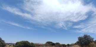 Thales dotará de la última tecnología de señalización a la Plataforma Logística de Mérida para el transporte de mercancías por ferrocarril