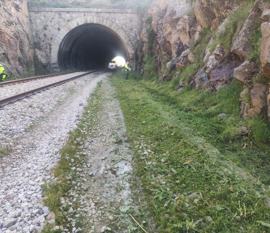 Adif destina más de 95 millones de euros al control de la vegetación en la red convencional y de ancho métrico