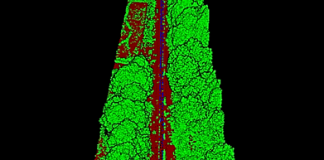 Adif invertirá 2M€ en el uso de tecnología LIDAR para reforzar el control de la vegetación en la red ferroviaria