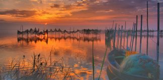 Renfe lanza campaña de ‘Superprecios’ para viajar en tren este verano